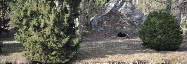 Rambouillet : A la recherche du Printemps !
