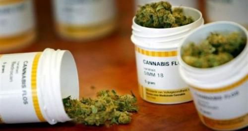 L'usage médical et pharmacologique du cannabis.