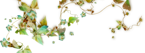 ѼVegetation