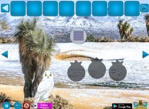 Owl friend escape soluce