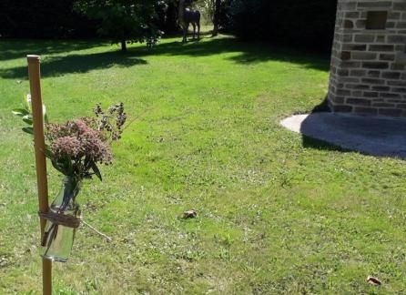 Vases de jardin