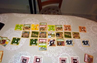 Parties du second confinement (5)