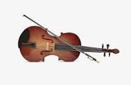 violon