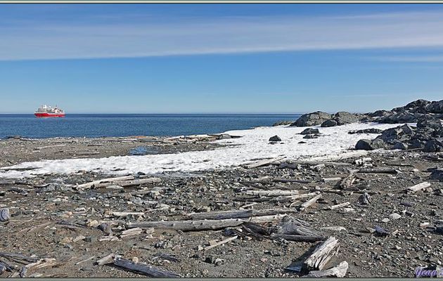 11/07/2024 : débarquement sur l'île Storøya (80° 04′ N, 28° 00′ E) - Svalbard - Norvège