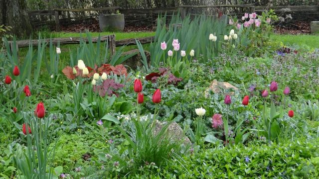 Après Pâques, symbole de renouveau au jardin !!