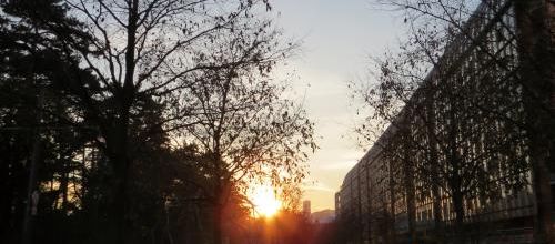 Soleil couchant