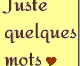 Juste quelques mots pour vous dire que j'arrête mon blog .... 