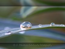 Ma maison dans une goutte d'eau...