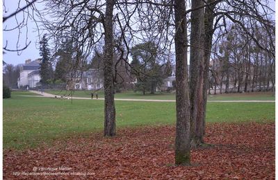 Rambouillet : L'hiver de Vincent Muselli