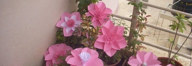 Grandes (ou petites ...) fleurs de papier