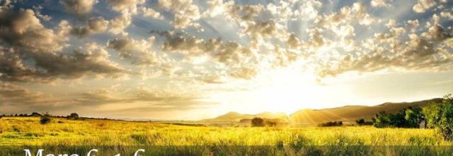 14ÈME DIMANCHE DU TEMPS ORDINAIRE  » 8 juillet 2018