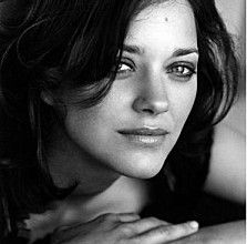 MARION COTILLARD BOX OFFICE