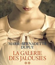 Download PDF La galerie des jalousies Tome 2