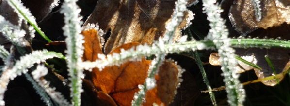 premier givre!