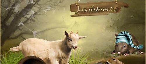  In Biquette' s land