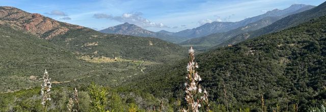 Balade au col de Palmarella - Galéria