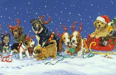 Forever, et son renne de Noël 2010 (13)