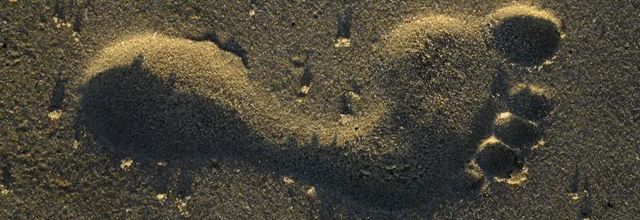 Laisser une trace