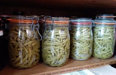 Les derniers beaux jours.....