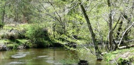 LOUSTALOT (Landes Dept40)Lieu dit Corbieu Moulin de Carreau  Fossiles Aquitanien