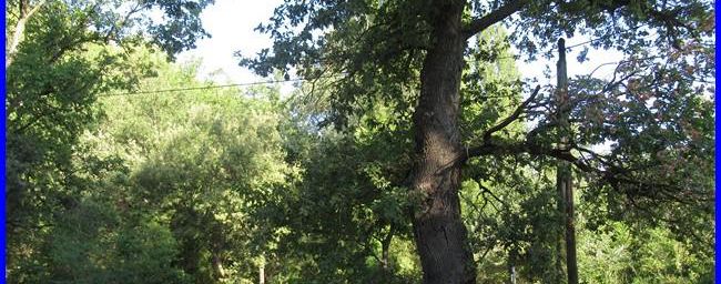 Grand Luberon, la source du Mirail