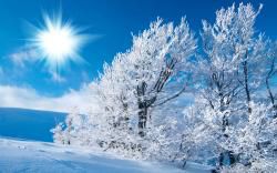 Vitamine D, 