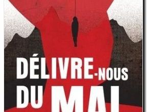 Chronqiue du roman :  Délivre-nous du mal de Chrystel Duchamp