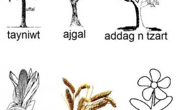 Quelques mots animés