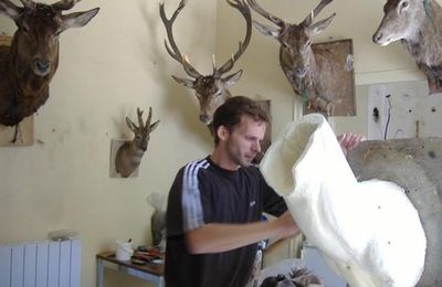 Vincent Espaullard est un artiste....