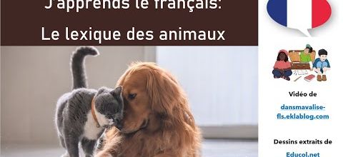 Le lexique des animaux