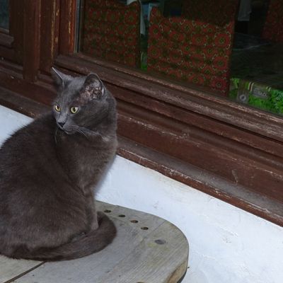 Enfin quelques minutes pour mon billet