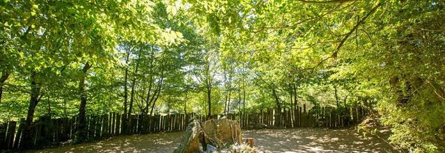 Brocéliande la légendaire 