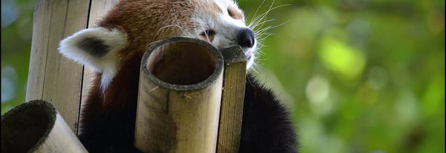 Changement d'heure : A 3 heures du matin il sera alors 2 heures !