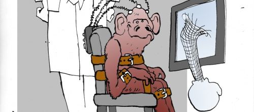 Via une électrode dans le cerveau, un singe réussit à contrôler une main virtuelle