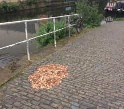 Défi N°187: Ah! Si j'étais riche ....