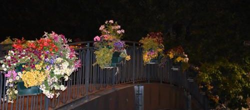 passerelle fleurie