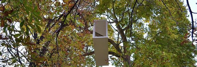 FIAC 2014 Jardin des Tuileries : "Beautiful Tube" de Lang et Baumann