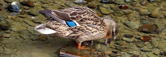 mes photos plaisirs (suite)