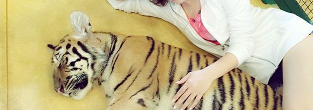 Point sur les activités de Kasai Tomomi