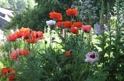 Appel contre les pesticides