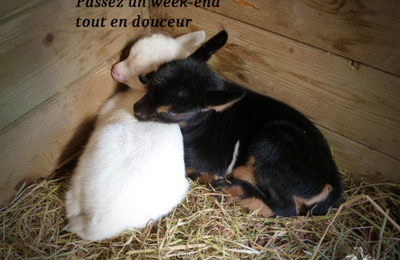 Bon week-end à tous