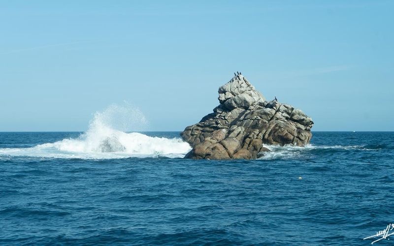 Armor et Argoat 2021 : Une île qui fait Batz mon cœur. (1/4)