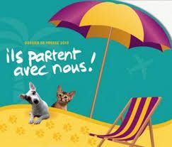 C'est l'été, en pause