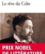 {pdf download} Le rêve du Celte