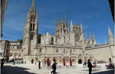 (J36) Rabé de las Calzadas / Burgos 10 mai 2012 (3)