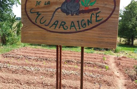Jardin de la Musaraigne: renouveau!