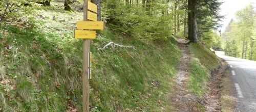 Trèvezel (L'Espérou - Aigoual)