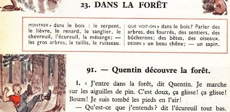 Dumas CE1 S23 Dans la forêt