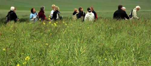 Photos de la sortie au Mt de Couple