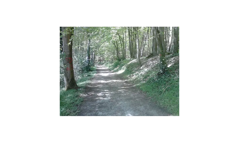 Egaré en chemin ...
